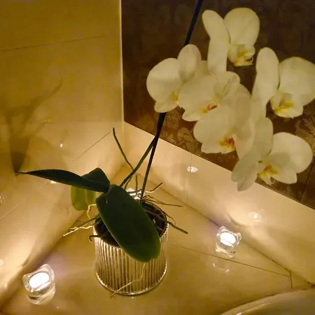 Azalia&spa Niepołomice