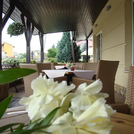 Hotel Azalia &