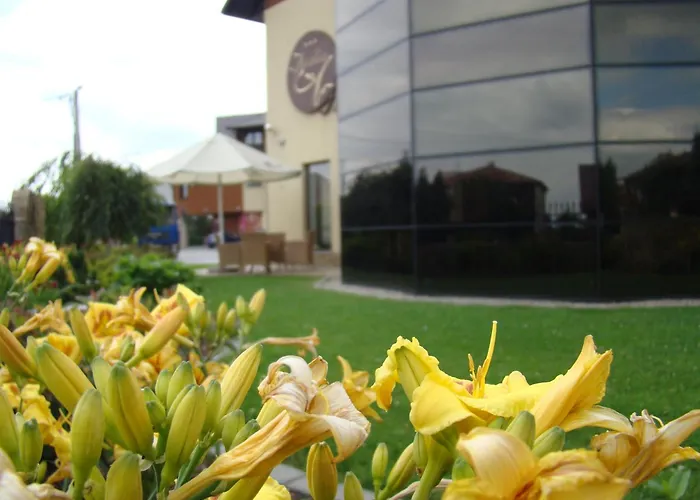 Hotel Azalia & Niepołomice